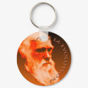 Vive La Evolution keychains