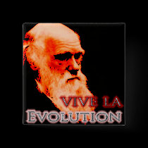 Vive La Evolution Redoux buttons