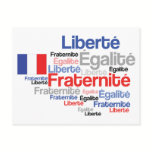 Vive La France French Flag Francophile's Postcard postcards