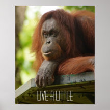 Vive un poco posters