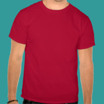 VIVID AUDIO t-shirts