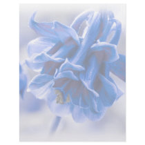 Vivid Blue Columbine Letterhead Template