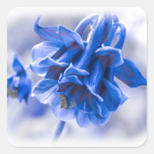 Vivid Blue Columbine Sticker