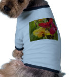 Vivid Color Pet Clothing