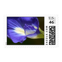 Vivid Flower postage