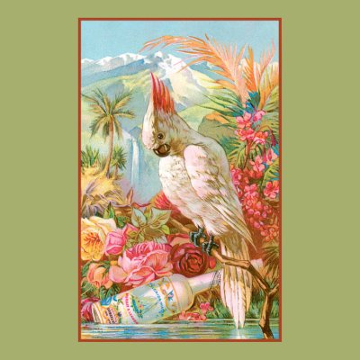 Vivid Flowers and a Cockateil Posters Zazzle_print Vivid Flowers and a Cockateil Posters Zazzle_print