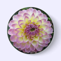 Vivid Lavender Creme Dahlia buttons