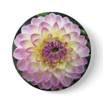 Vivid Lavender Creme Dahlia buttons by charlesblack7 Vivid Lavender Creme Dahlia buttons