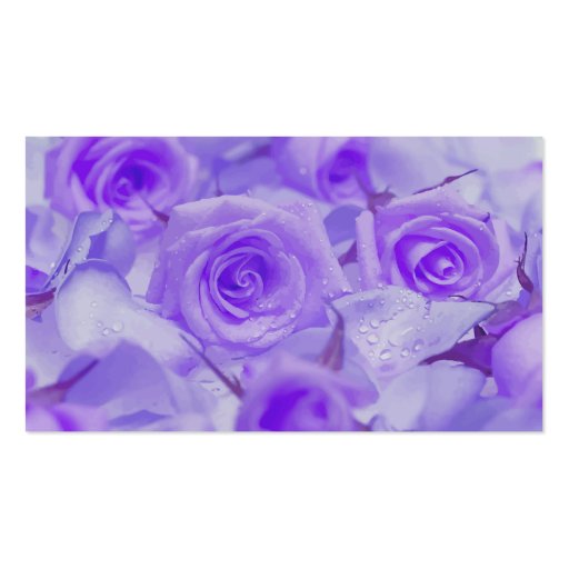 Vivid Lavender Roses Business Card Templates (back side)