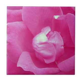 Vivid Pink Rose Photo Ceramic Tiles