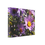 Vivid Purple Aster with Yellow Floral Pring canvas prints