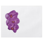 Vivid Purple Orchids Full Color Flyer