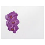 Vivid Purple Orchids Letterhead Template