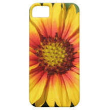 Vivid Yellow & Orange Gerber Daisy iPhone 5 Case