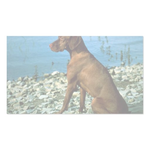 Vizsla Business Cards (back side)