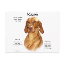 Vizsla History Design Post Card