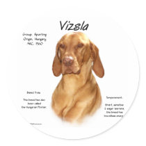 Vizsla History Design Sticker