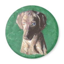 Vizsla, Hungarian Pointer magnets