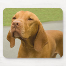 Vizsla Mouse Pads
