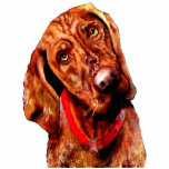 Vizsla Photo Sculpture photo sculptures