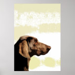 Vizsla Print