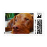 VIZSLA - stamp VIZSLA - stamp