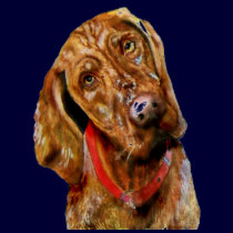 Vizsla T-shirt by artbyjolyn Vizsla T-shirt