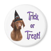 Vizsla Trick magnets