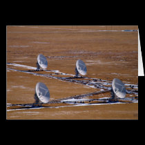 VLA-7-VLA-DishesAndLandscape--2-IMG_9630 cards