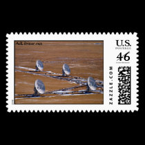 VLA-7-VLA-DishesAndLandscape stamps