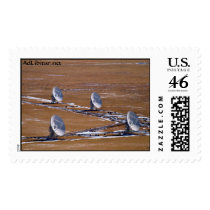 VLA-7-VLA-DishesAndLandscape postage