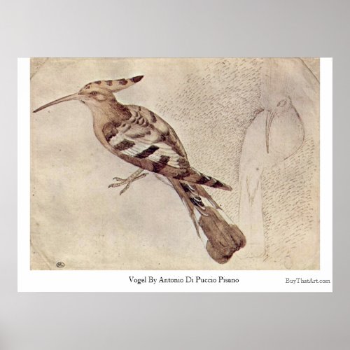 Vogel By Antonio Di Puccio Pisano Print