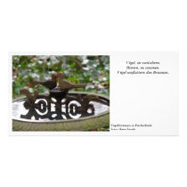 Vogelbrunnen fotokarten
