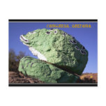 Voila! A rock became a frog. "Postcard"