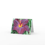 Volcanic Daylily Note Card Volcanic Daylily Note Card