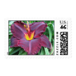 Volcanic Daylily Stamp