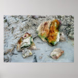 Volcanic Rocks, New Zealand posters