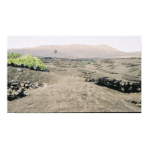 Volcanic Vineyard posters