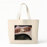 Volcano Roll bags