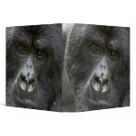 Volcanoes NP, Rwanda, Mountain Gorillas, binders