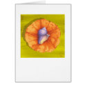 Vole Conch & Orange Flower cards
