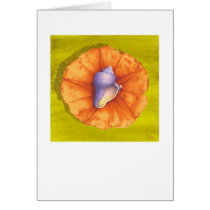 Vole Conch & Orange Flower cards by briancody Vole Conch & Orange Flower cards