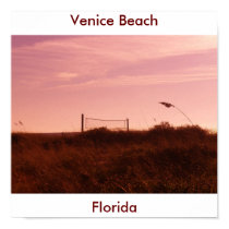 Volley In the Dunes posters by Debrene Volley In the Dunes posters
