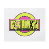 volley logo pink and yellow green flyers