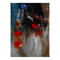 volley posters by pledent volley posters