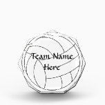 Volleyball awards