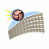 Volleyball Ball & Net Photo Cut Outs