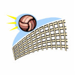 Volleyball Ball &amp; Net Photo Cut Outs