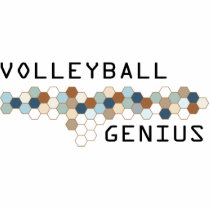 Volleyball Genius photo sculptures