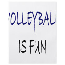 Volleyball Is Fun flyers